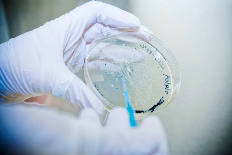 (Crédits photo : Flickr - hcc public information office )