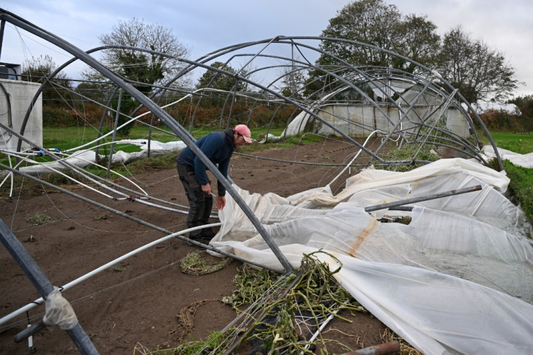 Guillaume Troadec, agriculteur à Saint-Igneuc (Côtes-d'Armor) répare une serre détruite par la tempête Ciaran le 6 novembre. ( AFP / DAMIEN MEYER )