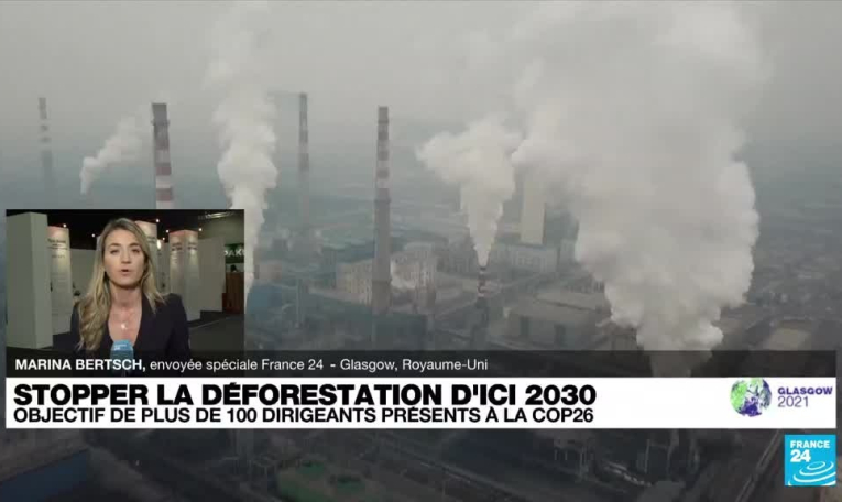 COP26 : l'objectif crucial de stopper la déforestation d'ici à 2030