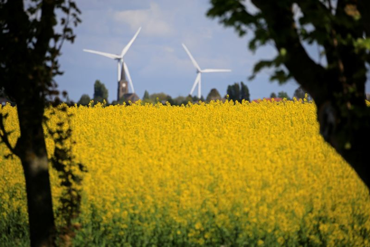 Des éoliennes à Saint-Hilaire-Lez-Cambrai, en France