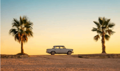 Top 5 des jobs insolites de l'été