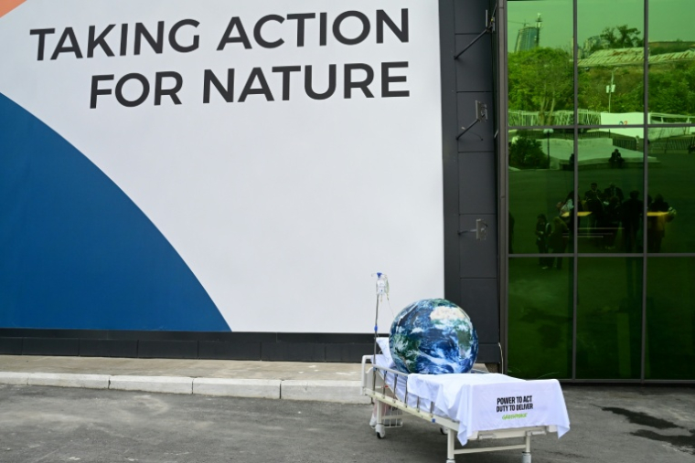 Une installation de Greenpeace à l'extérieur du bâtiment accueillant la COP 17 à Erevan en Arménie le 27 octobre 2026 ( AFP / STRINGER )