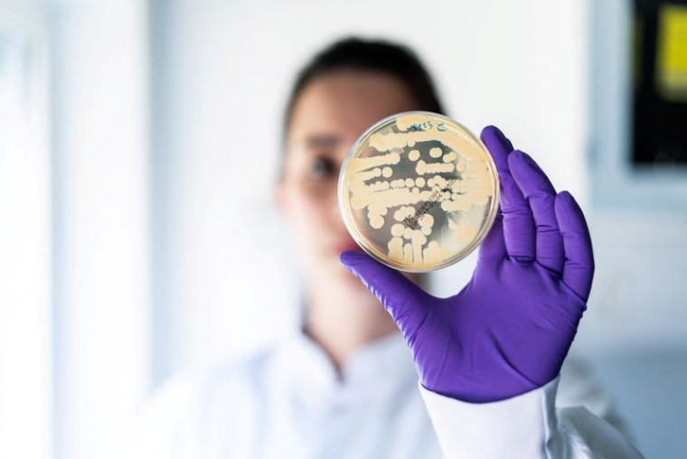 Un membre de l'équipe de recherche de Bavarian Nordic