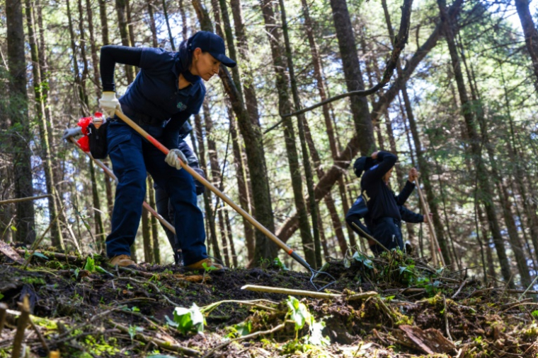 Des membres de la Commission nationale de recherche du Mexique (CNB) participent à la recherche de restes humains à Ajusco, Mexico, le 23 octobre 2025 ( AFP / GERARDO MAGALLON )