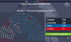 Nouvelle-Calédonie: le Sénat adopte un projet de réforme constitutionnelle