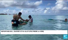 Préservation des océans : des enfants bouturent des coraux