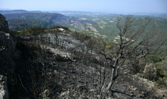 Le paysage calciné après le passage de l'incendie à Coustouge, dans l'Aude, le 8 août 2025 ( AFP / Lionel BONAVENTURE )