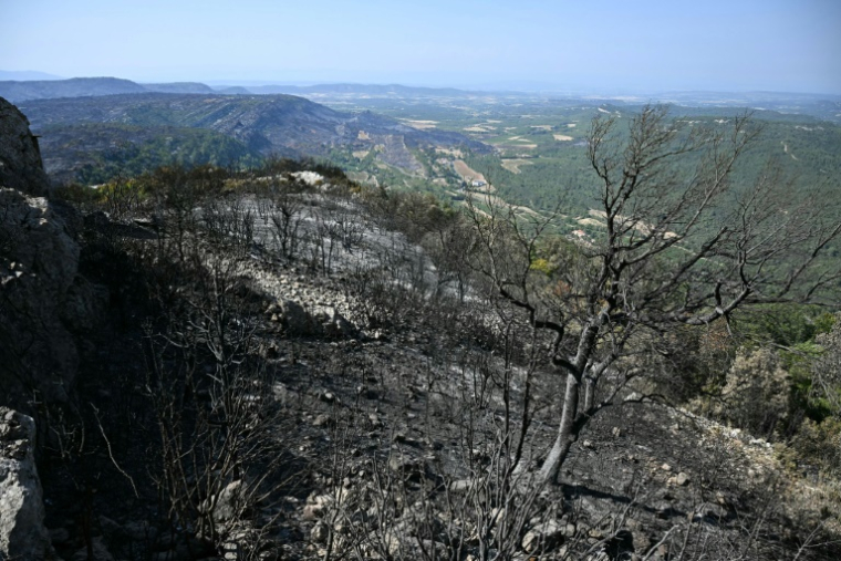 Le paysage calciné après le passage de l'incendie à Coustouge, dans l'Aude, le 8 août 2025 ( AFP / Lionel BONAVENTURE )