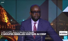 Niger : deux groupes rebelles hostiles au Conseil national pour la sauvegarde de la patrie (CNSP)