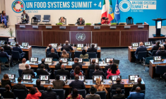 Réunion sur l'alimentation dans le monde, co-organisée par l'Ethiopie et l'Italie, le 28 juillet 2025, à Addis Abeba  ( AFP / Solan Kolli )