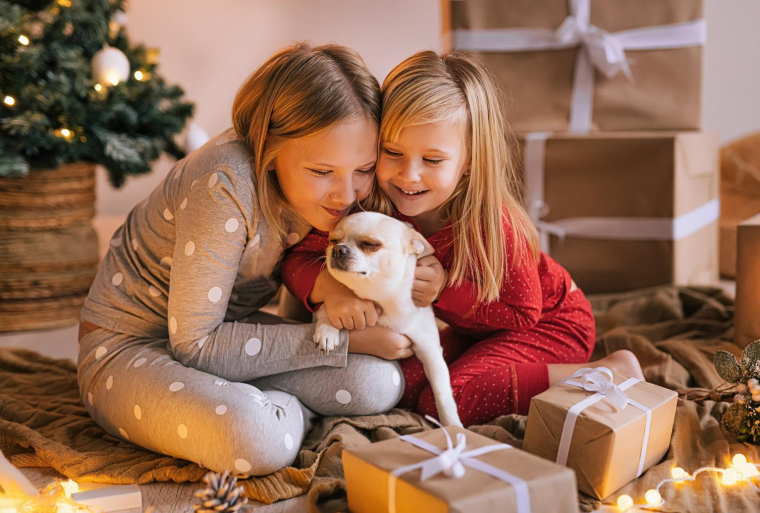 Découvrez notre sélection de calendriers de l’Avent originaux crédit photo : Getty images