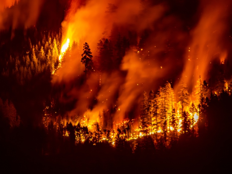 Un feu de forêt en Colombie britannique en août 2025 ( AFP / Colby Rex O'Neill )