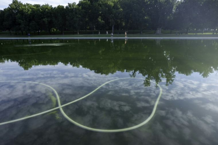 Des algues visibles dans le bassin réfléchissant du Lincoln Memorial,  alors que les efforts de nettoyage se poursuivent là où la peinture bleue s'est écaillée, le 20 juin 2026 à Washington ( AFP / Ken Cedeno )