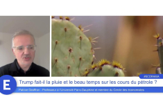 Patrice Geoffron : "Trump ne peut pas promettre un prix du pétrole à 50 dollars pour les consommateurs et à 80 pour les investisseurs !"