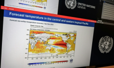 Un graphique montrant l'évoluation du phénomène El Nino, lors d'une conférence de presse de l'Organisation météorologique mondiale à Genève, le 3 septembre 2026 ( AFP / Fabrice COFFRINI )