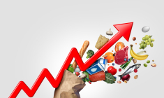 (Crédits: ©  freshidea - stock.adobe.com)