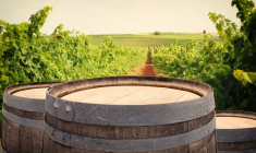 Investir dans les grands vins-iStock-tomertu