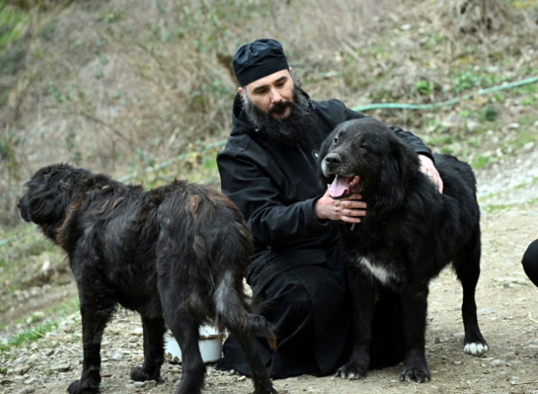 Le père Porfirij joue avec des chiens Karaman au monastère Bigorski de Mavrovo i Rostuse, le 19 mars 2026 en Macédoine ( AFP / Robert ATANASOVSKI )
