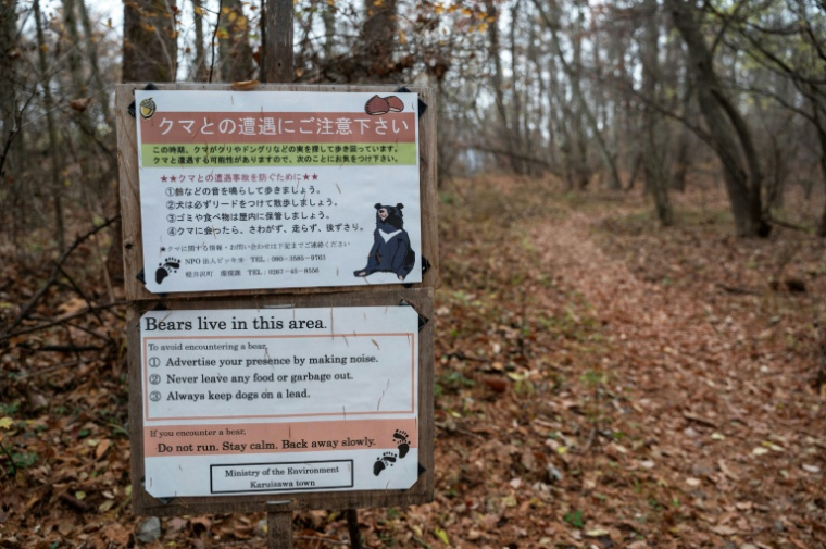 Un panneau avertissant les gens de la présence d'ours dans la région, près de la station balnéaire de Karuizawa, dans la préfecture de Nagano, le 10 novembre 2023 ( AFP / Richard A. Brooks )