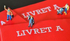 ( AFP / DENIS CHARLET )