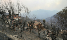 Des bâtiments endommagés sur une colline ravagée après le passage d'un incendie de forêt à Bordj T'har, une localité et commune de la wilaya de Jijel, dans le nord-est de l'Algérie, le 27 août 2026 ( AFP / - )
