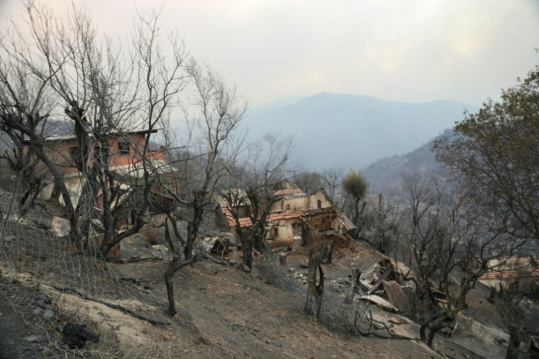 Des bâtiments endommagés sur une colline ravagée après le passage d'un incendie de forêt à Bordj T'har, une localité et commune de la wilaya de Jijel, dans le nord-est de l'Algérie, le 27 août 2026 ( AFP / - )