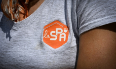 La SPA a lancé sa campagne annuelle de prévention contre l'abandon des animaux domestiques avant les vacances d'été, avec un film diffusé d'abord sur les réseaux sociaux, narré par l'acteur et réalisateur Gilles Lellouche ( AFP / BERTRAND GUAY )