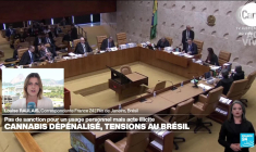 Brésil : tensions au Brésil autour de la dépénalisation du cannabis