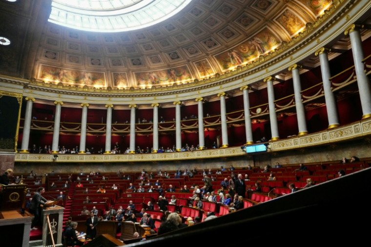 Le débat à l'Assemblée nationale sur la pétition contre la loi Duplomb, initialement prévu mercredi, est repoussé à février ( AFP / Dimitar DILKOFF )