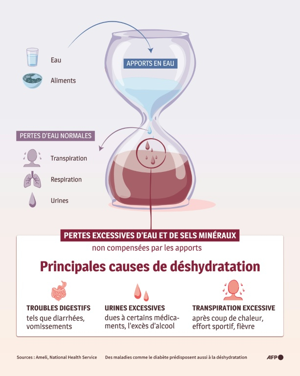 Graphique expliquant les causes de l'état de déshydratation, atteint lorsque les pertes d'eau dépassent les apports ( AFP / Sabrina BLANCHARD )