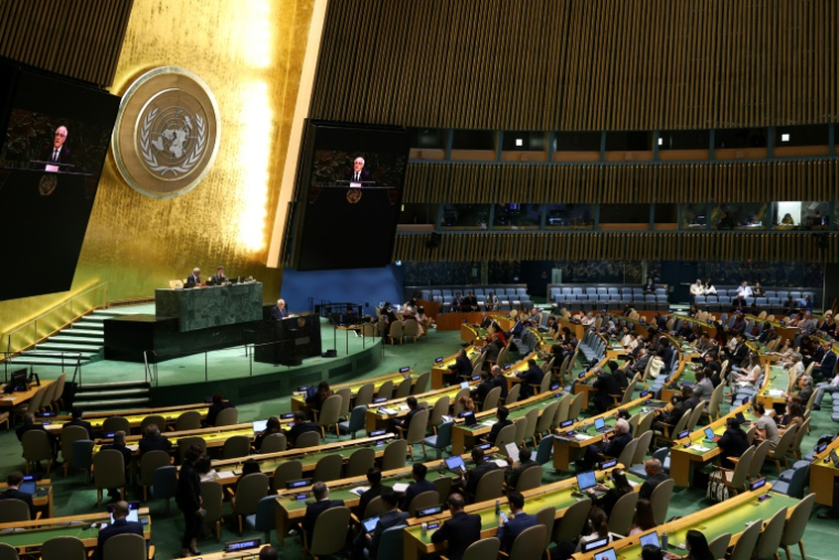 L'ambassadeur palestinien auprès des Nations Unies, Riyad Mansour (à la tribune)lors d'une réunion de l'Assemblée générale de l'ONU à New York, le 12 juin 2025 ( AFP / CHARLY TRIBALLEAU )