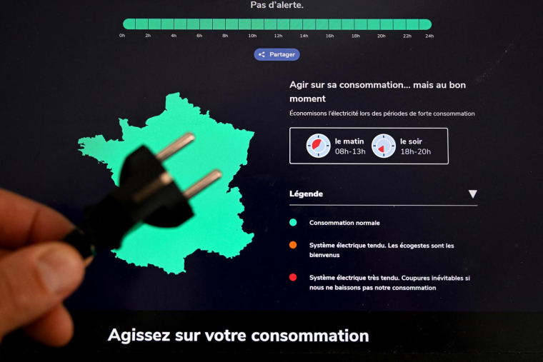 ( AFP / DAMIEN MEYER )