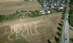 Vue aérienne d'un message géant "Libérez Cécile" dans un champ à Soultz-Haut-Rhin, le 18 juin 2025 dans l'est de la France, en soutien à Cécile Kohler détenue en Iran ( AFP / SEBASTIEN BOZON )