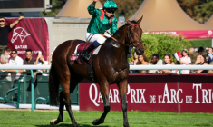 Le jockey français Mickaël Barzalona sur le pur-sang français Daryz remporte le Prix de l'Arc de Triomphe pour la deuxième année d'affilée, le 4 octobre 2026 sur l'hippodrome de Longchamp, à Paris ( AFP / MEHDI FEDOUACH )