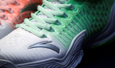 LE PROPRIÉTAIRE DE SALOMON EN PASSE DE SE VENDRE AU CHINOIS ANTA