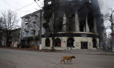 Un chien passe devant un bâtiment brûlé par une frappe, lors d'un bombardement à Bakhmout
