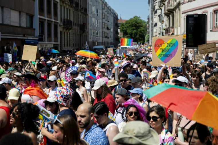Des participants à la "Marche des Fiertés LGBT+", le 20 juin 2026 à Strasbourg, dans le Bas-Rhin, lors d'un épisode de canicule en France ( AFP / ROMEO BOETZLE )