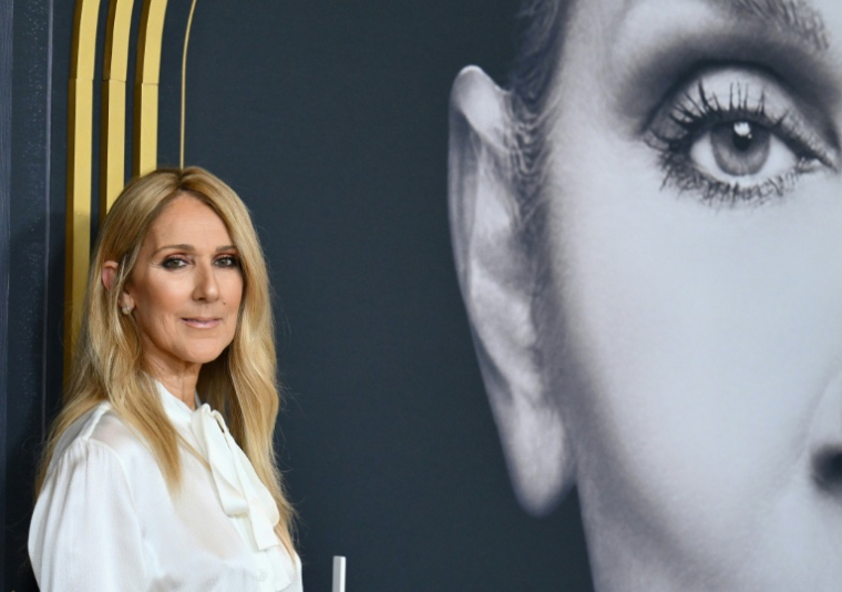 Céline Dion à New York le 17 juin 2024 ( AFP / ANGELA WEISS )