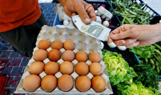 Photo d'un client sur un marché local à Nice