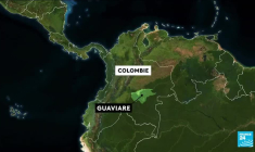 "Opération miracle" : en Colombie, quatre enfants recherchés après le crash de leur avion