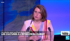 Les cultures à l'épreuve d'un climat qui change