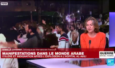 Guerre Israël-Hamas : "les gouvernements des pays arabes veulent éviter l'embrasement absolu"
