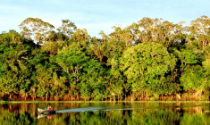 Les assurances vie devront proposer des fonds ISR à leurs clients. (© Amazonia)