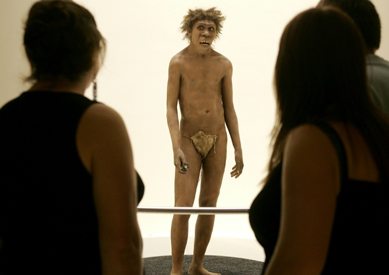 Reconstitution d'un "Homo erectus", le 19 juillet 2004 au musée de la Préhistoire, aux Eyzies-de-Tayac (Dordogne) ( AFP / Patrick BERNARD )