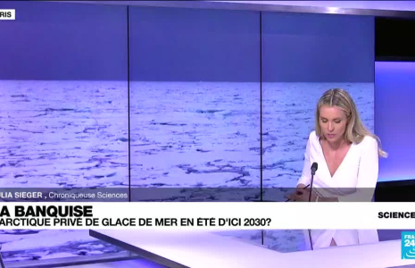 L'Arctique pourrait être privé de glace de mer dès les années 2030, alerte une nouvelle étude