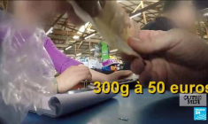 Les orpailleurs clandestins continuent d'empoisonner la Guyane avec du mercure