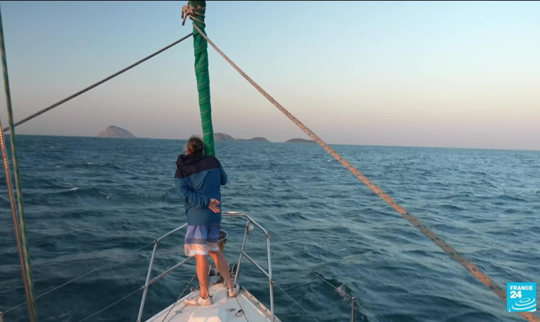 Brésil : sur les traces des baleines à bosse à Rio