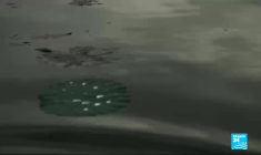 Inde : le combat d'un citoyen pour nettoyer les lacs pollués de Bangalore