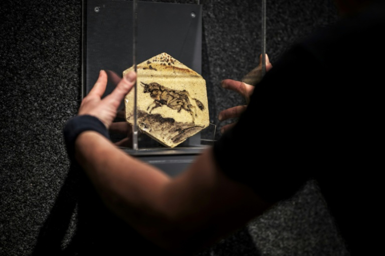 Une oeuvre en terre cuite du peintre espagnol Pablo Picasso, exposé à la maison de vente Piguet à Genève, le 5 juin 2025, avant une vente aux enchères ( AFP / Fabrice COFFRINI )