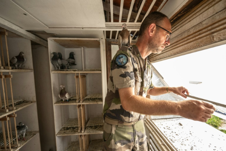 Le maréchal des logis Sylvain du 8e régiment de transmissions de l'armée française dans le dernier colombier militaire d'Europe, au Mont-Valérien, à Suresne, près de Paris, le 1er juillet 2025 ( AFP / BERTRAND GUAY )